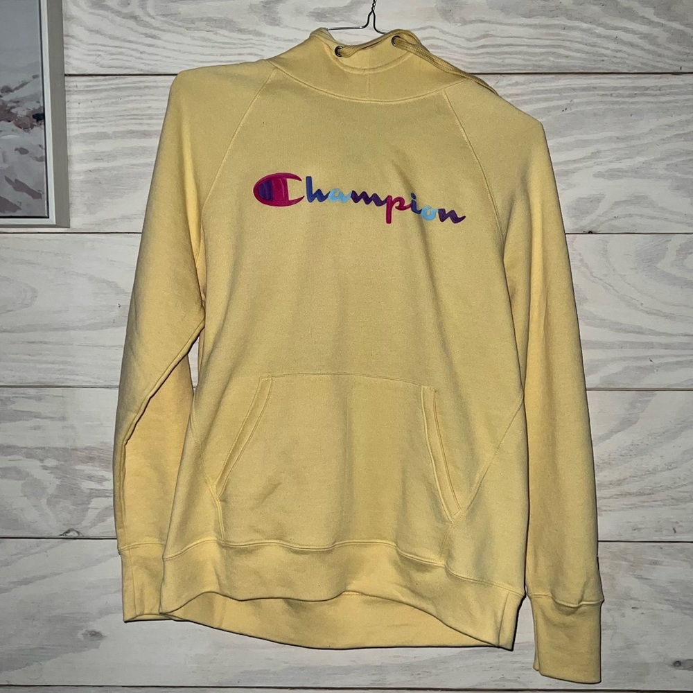 Pastel Champion Hoodie